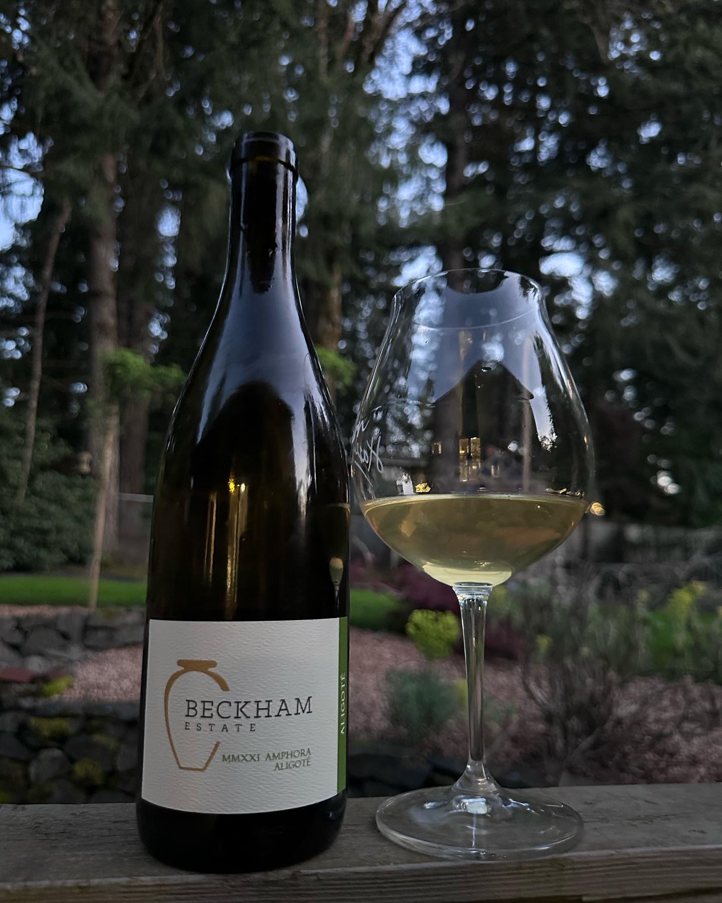 2021 Beckham Estate Amphora Aligoté Review