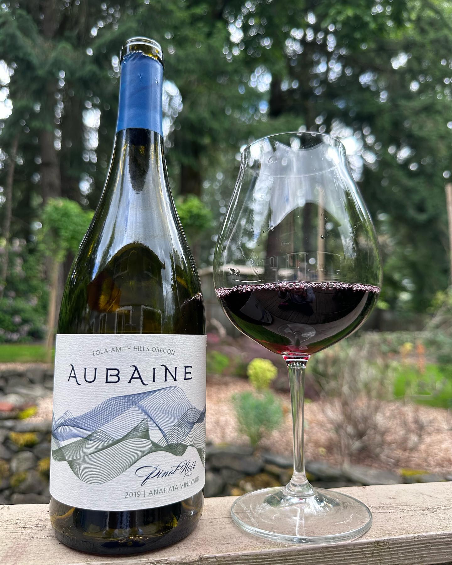 2019 Aubaine Anahata Vineyard Pinot Noir Review