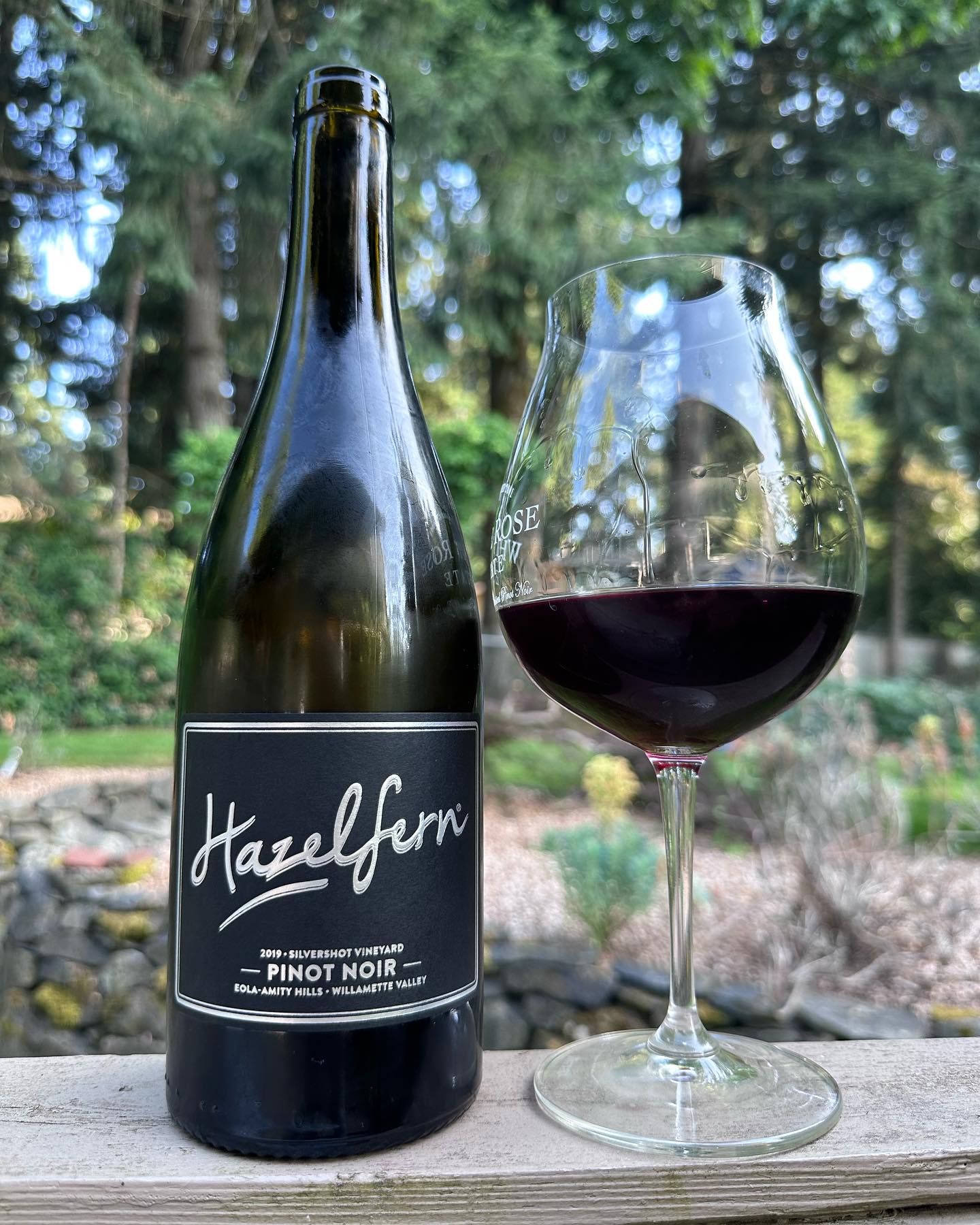 2019 Silvershot Vineyard Pinot Noir Review