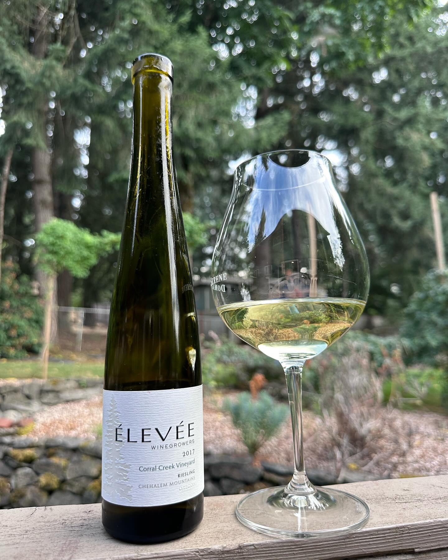 2017 Corral Creek Vineyard Riesling Review
