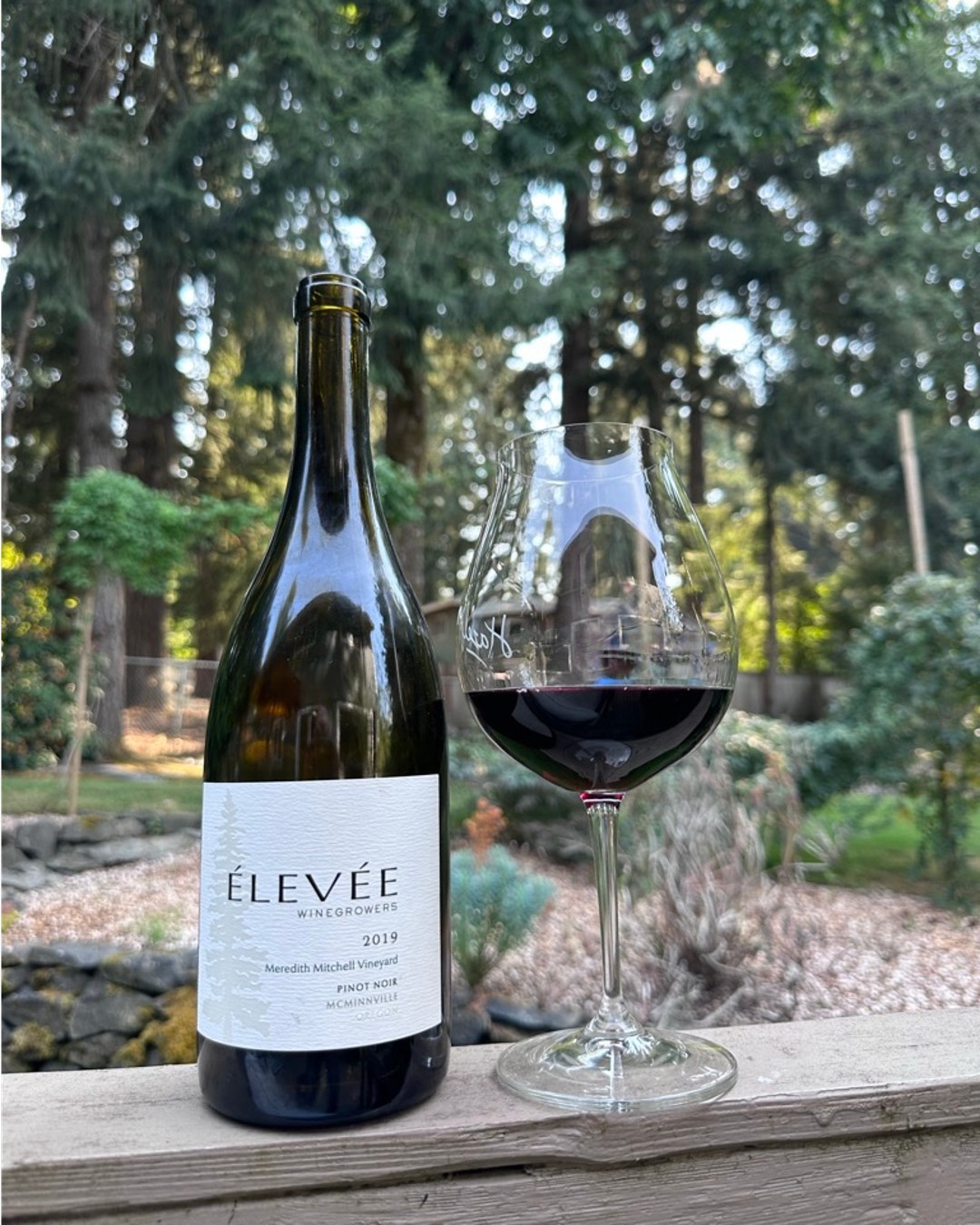 2019 Elevee Meredith Mitchell Pinot Review
