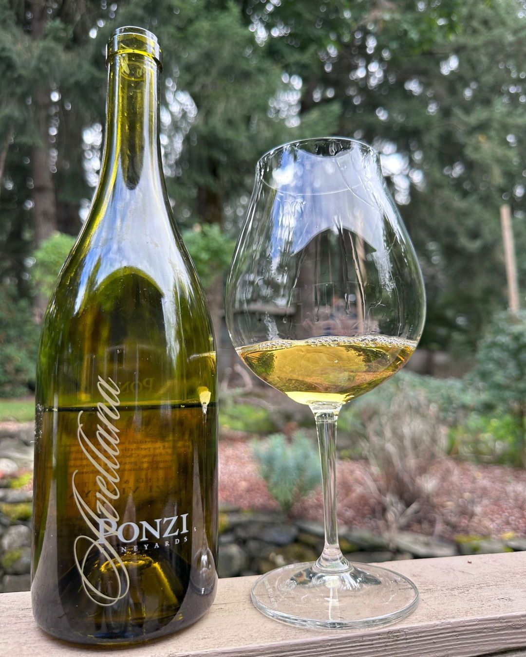 2013 Ponzi Avellana Chardonnay Review