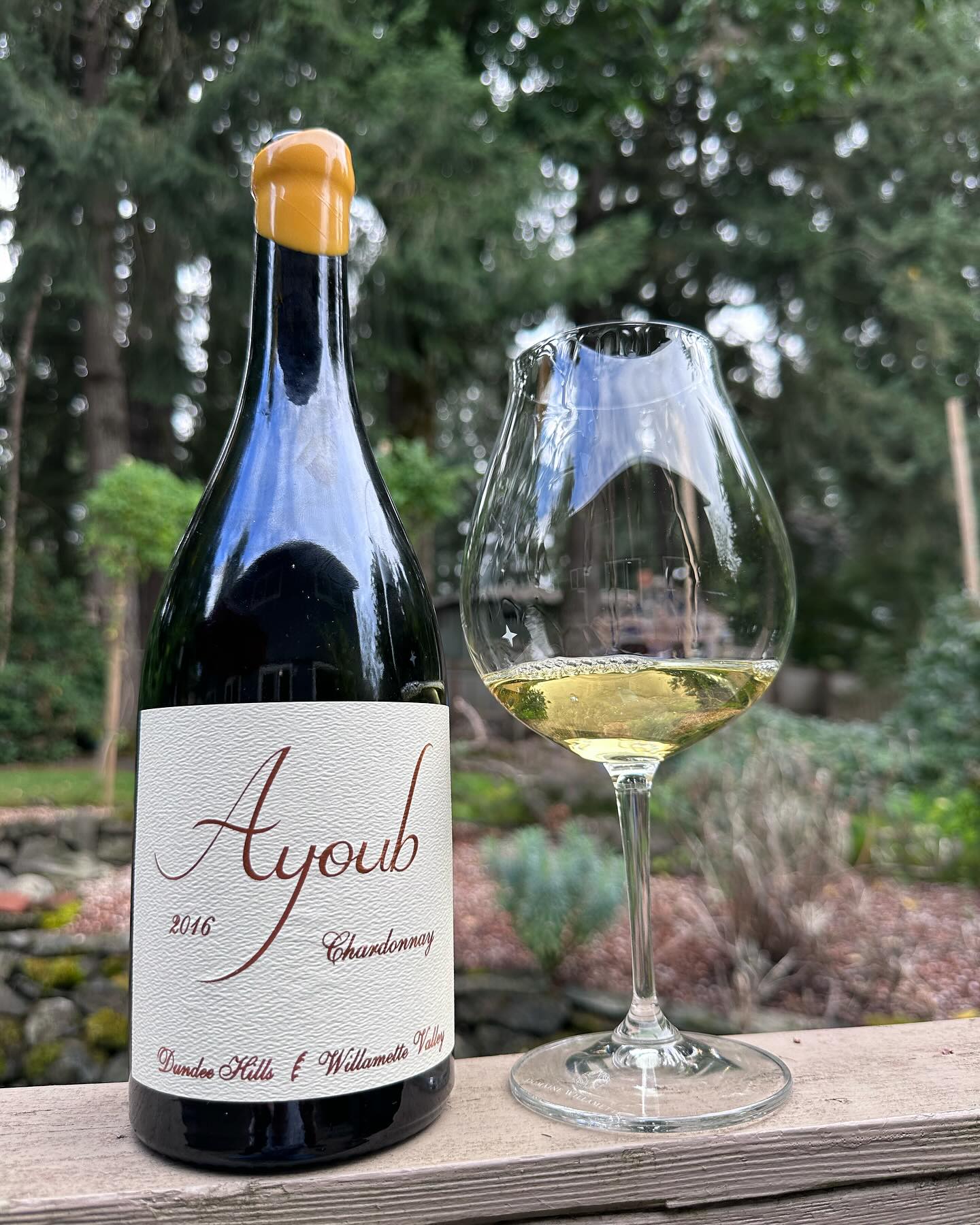2016 Ayoub Chardonnay Review