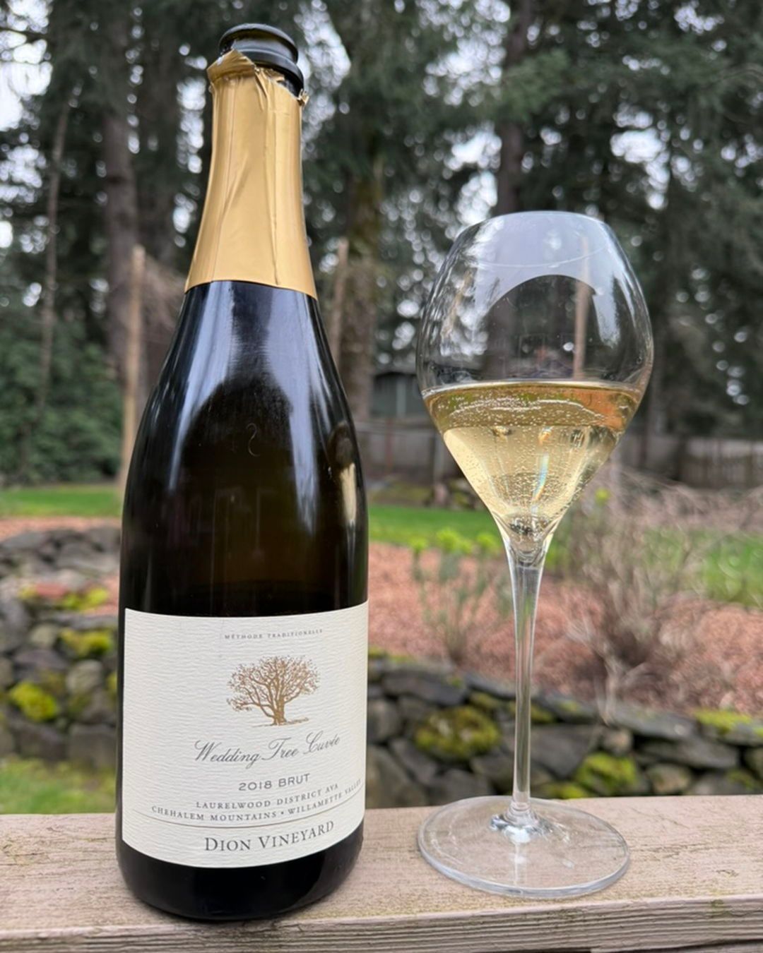 2018 Brut Wedding Tree Cuvee Review