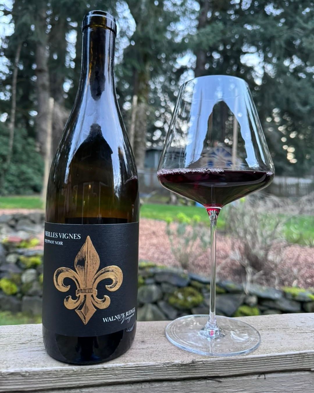 2022 Vieilles Vignes Pinot Noir Review