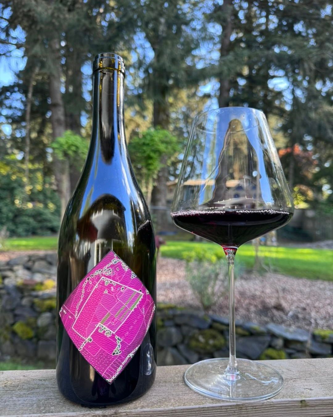 2019 Saffron Fields Pinot Noir Review