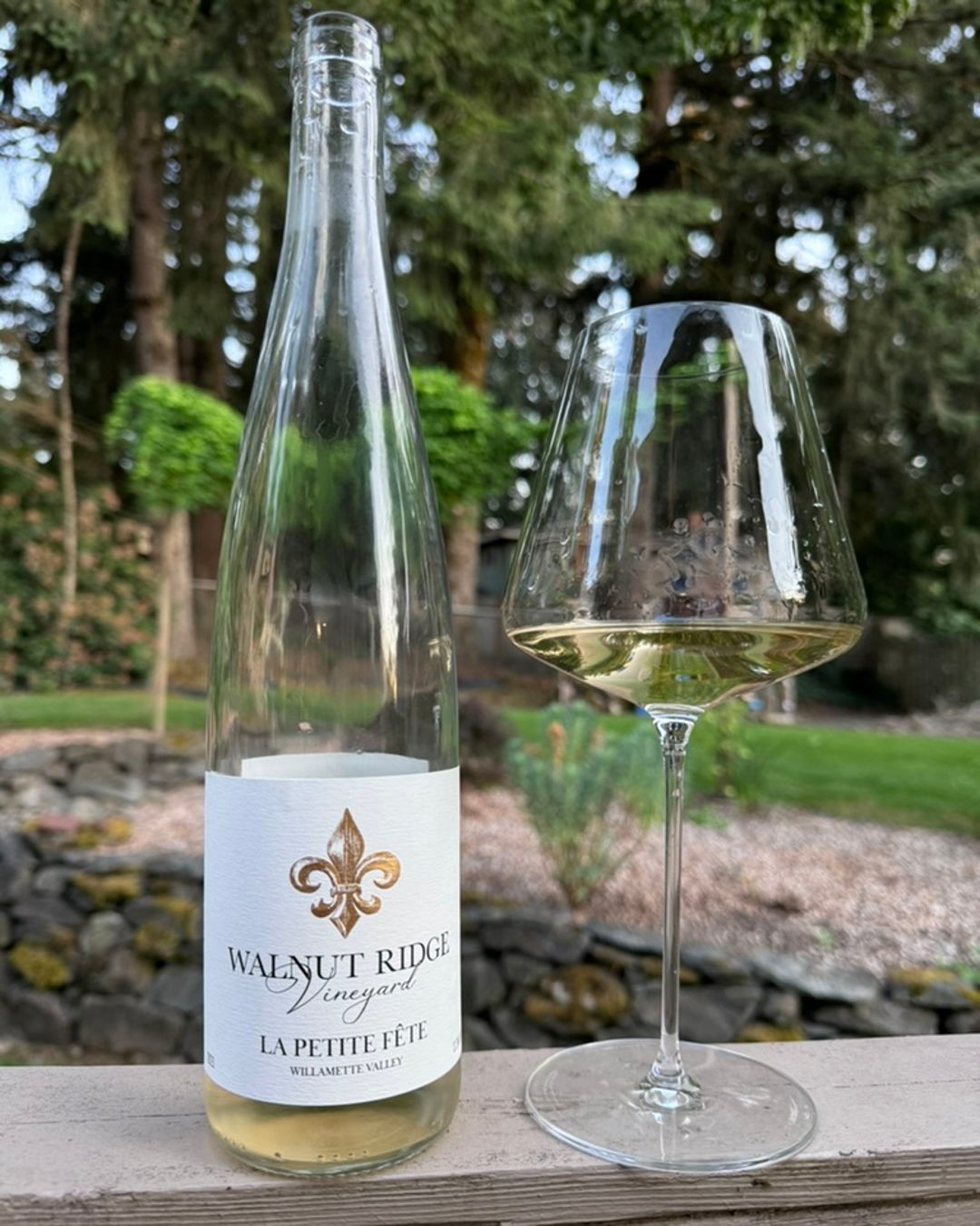 2022 La Petite Fete Review