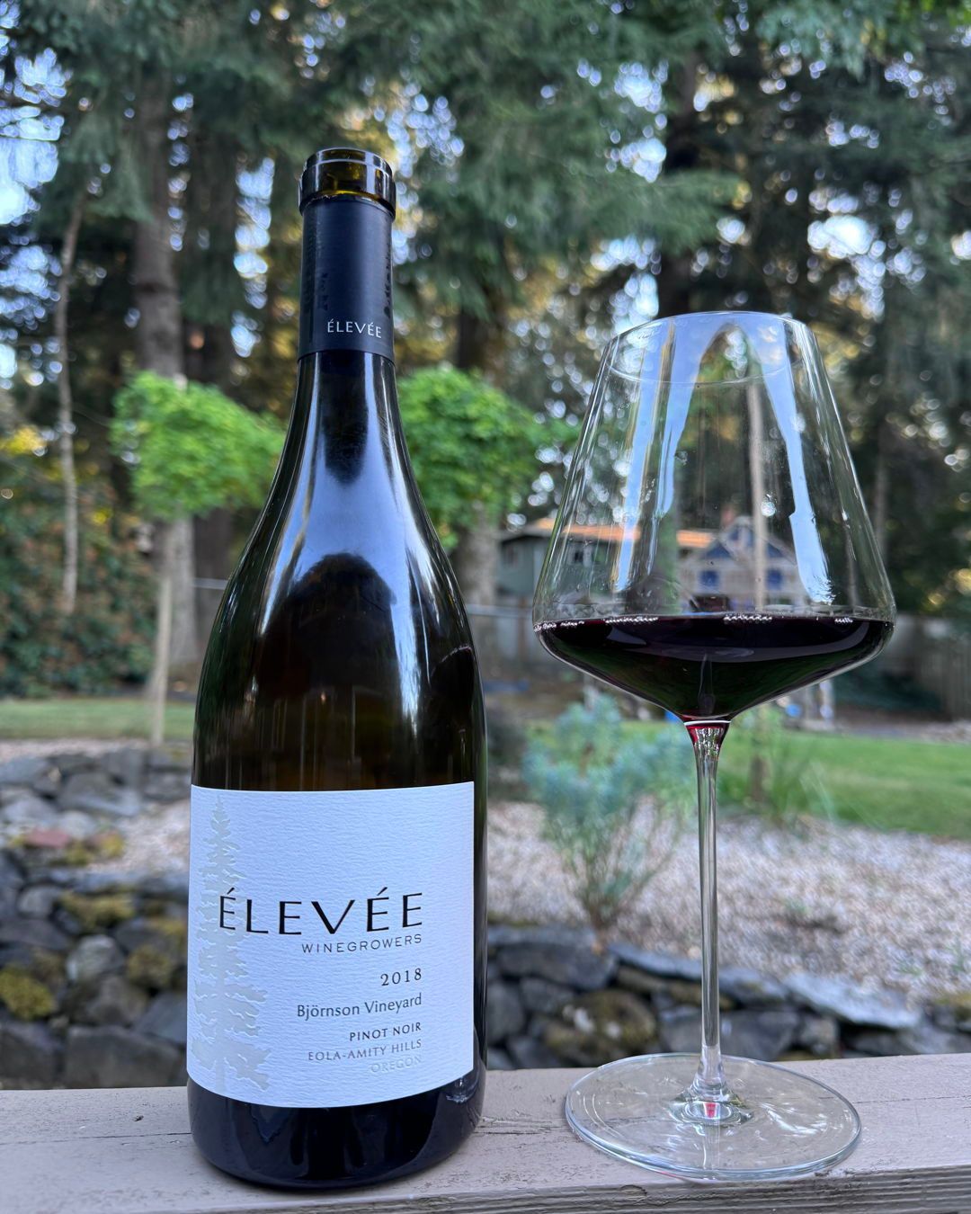 2018 Bjornson Vineyard Pinot Review