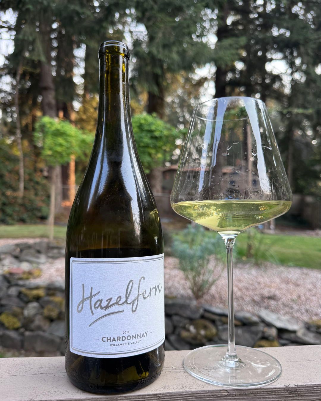 2019 Willamette Valley Hazelfern Chardonnay Review