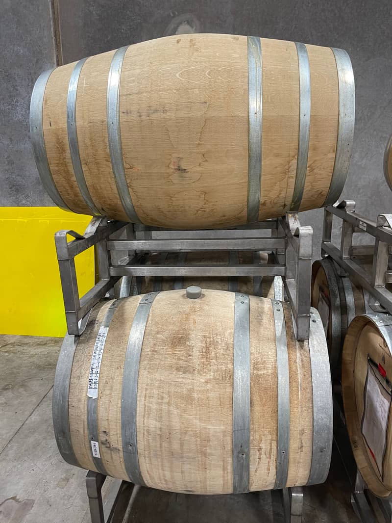 Audeant Wines: Crafting Oregon's Liquid Artistry